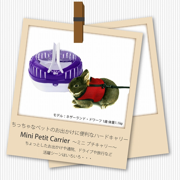 カゴの中のミニ、ミニ、キャット CACAOCAT カカオキャット缶 ミニマスコット 全6種セット（カプセル