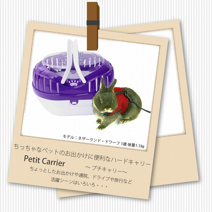 プチキャリー 超小型犬 子犬 子猫 小動物 鳥用キャリー 耐荷重3kgまで