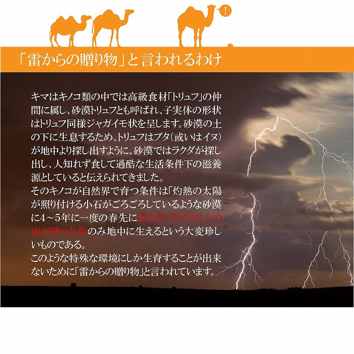 【期限切迫特価】日本製 砂漠のトリュフ「キマ」を使った ペット用サプリメント キマ＆ミー ウェルネス 30錠