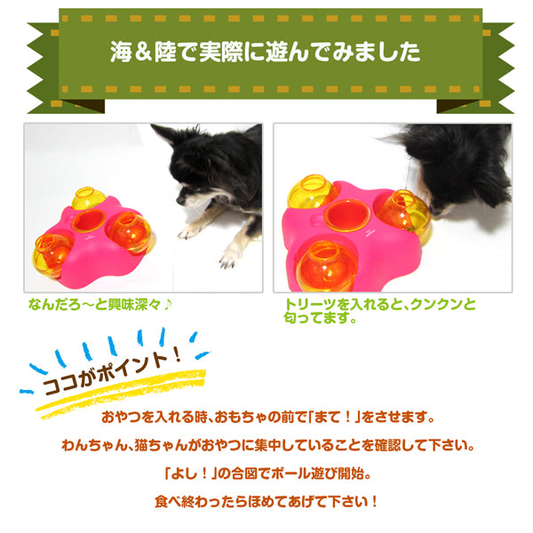 【決算棚卸特価】知育トイ  ペットメイズ Rock-N-Ball ロックンボール