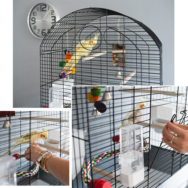 鳥籠６個セット　6羽用桶。 鳥かご ビオラ VIOLA 鳥籠 ゲージ フルセット – ファンタジーワールド