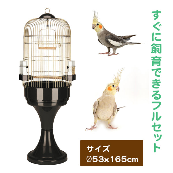中型鳥用 マックス6 スタンドセット アンティークブラス
