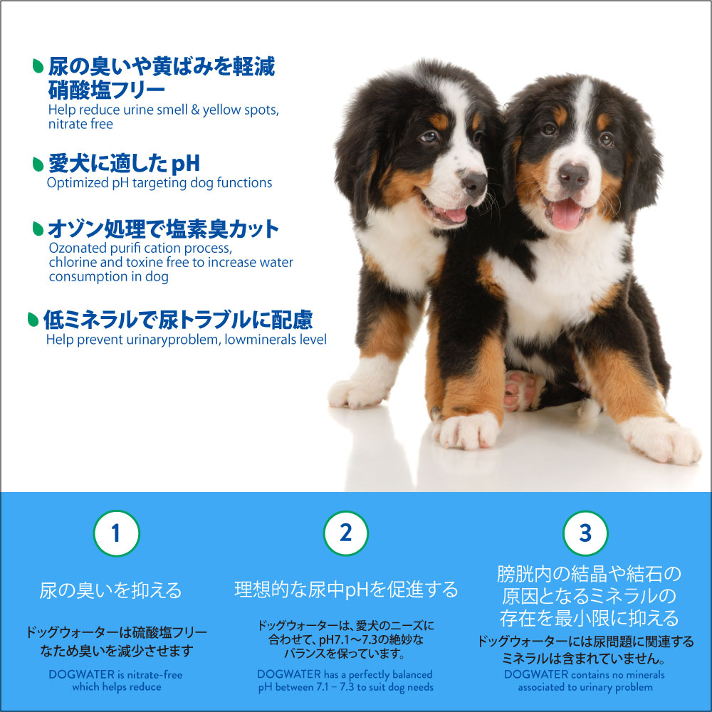 WATERFORD ウォーターフォード 犬 イヌ 高級 クリスタル ガラス