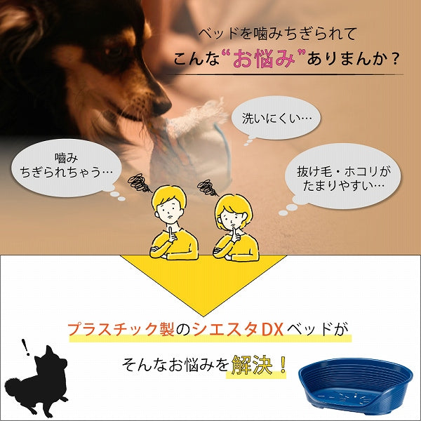 洗える丈夫なベット プラスチック ハウス SIESTA DX  4 シエスタ 送料無料