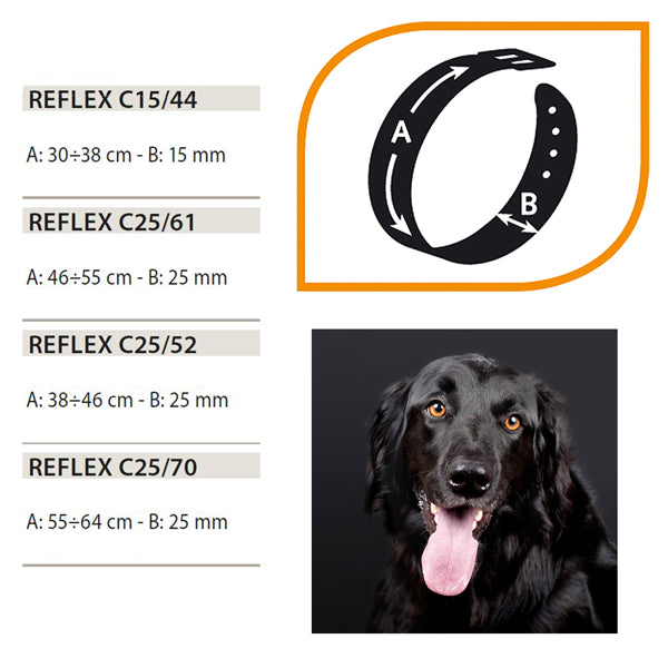 リフレックス REFLEX C サイズ4展開 犬 反射シート 首輪 夜 散歩