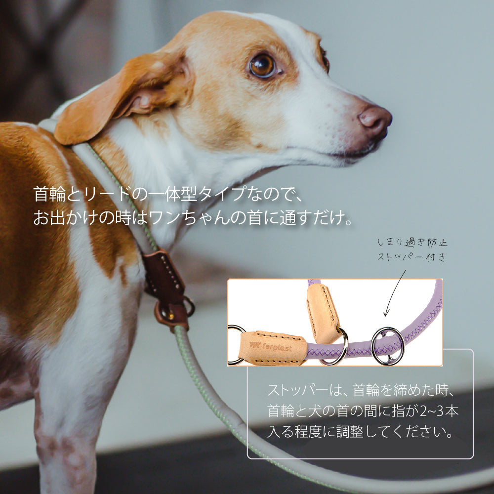 引っ張りぐせを直したいリード：ハーフチョーク ダービー DERBY GC 2