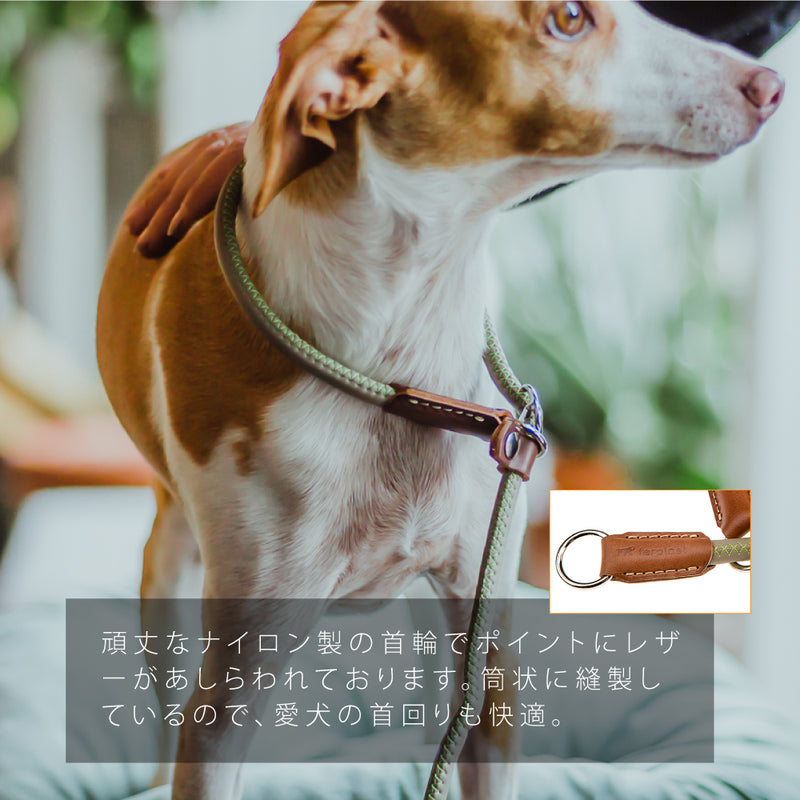 引っ張りぐせを直したいリード：ハーフチョーク ダービー DERBY GC 2サイズ