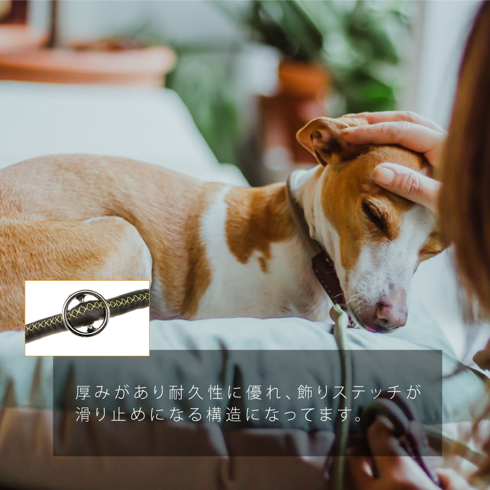 引っ張りぐせを直したいリード：ハーフチョーク ダービー DERBY GC 2