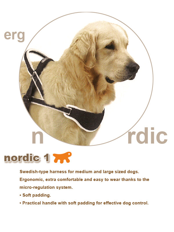 介護用ハーネス　ERGO COMFORT NORDIC 1〜ノルディック 1〜