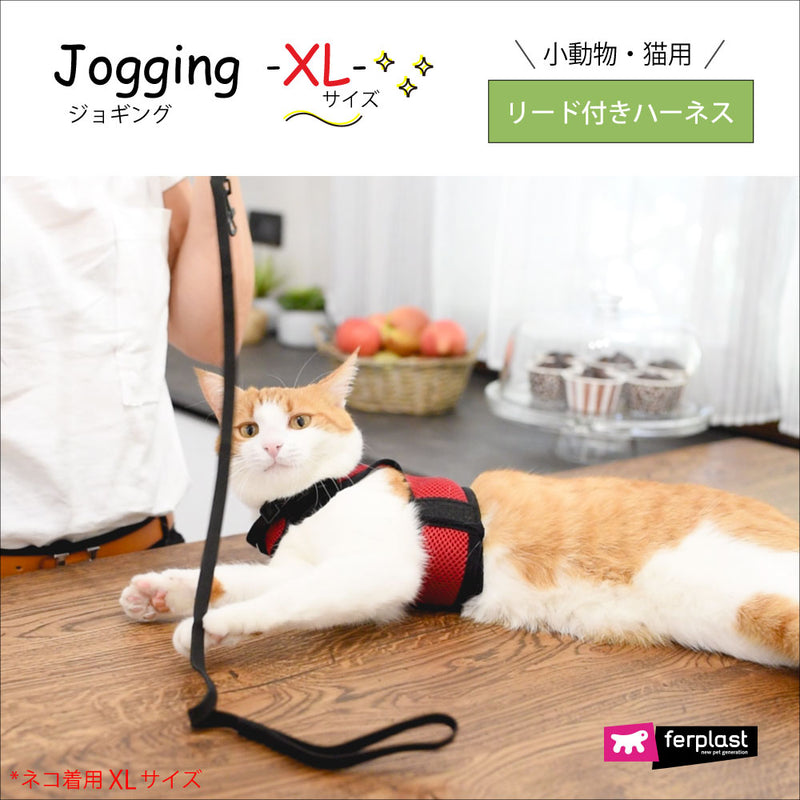 リードつき XL ハーネス　小動物・猫用　jogging〜ジョギング〜　