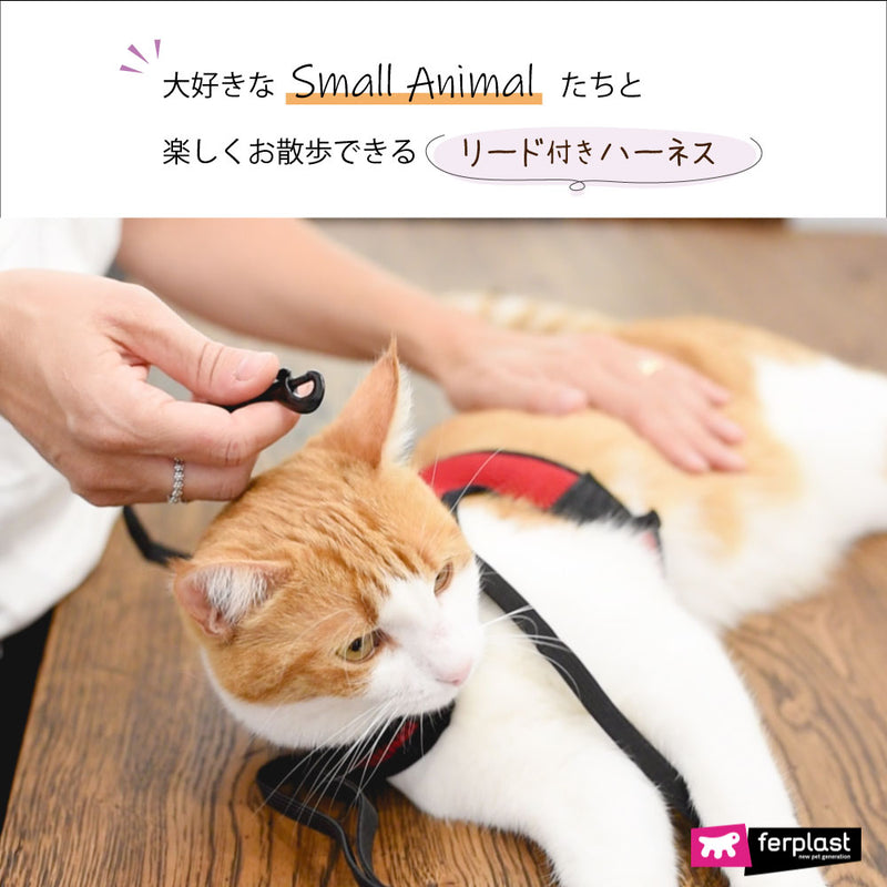 リードつき XL ハーネス　小動物・猫用　jogging〜ジョギング〜　