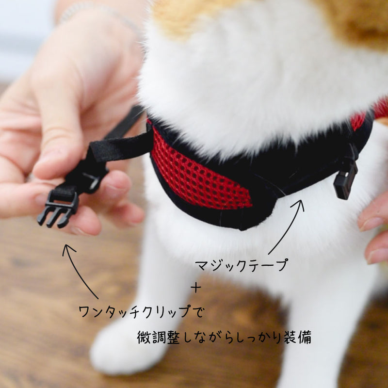 リードつき XL ハーネス　小動物・猫用　jogging〜ジョギング〜　