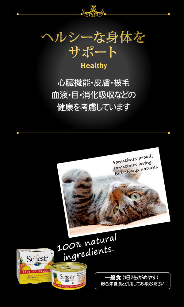 チキンフィレ 85g キャットフード