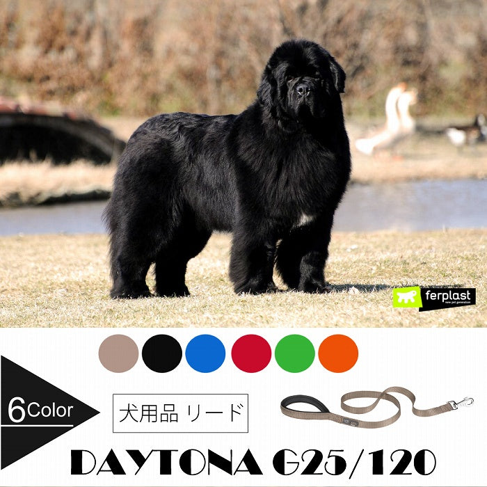デイトナ DAYTONA G25/120  犬 リード