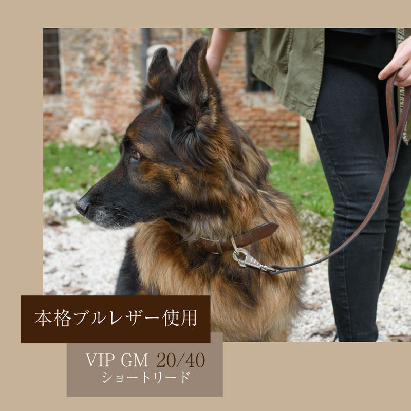 ショートリード GM20/40 本格ブルレザー使用革犬具VIP