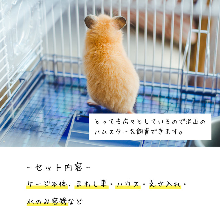 8010690087436_2_720x.jpg?v=