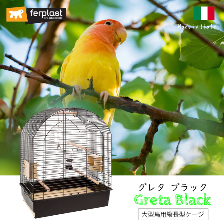 クトゥルフ像 ブックレットセット 希少品 Amazon.co.jp: NEWラブプラス ネネアートブックセット (限定版