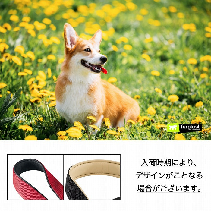 デイトナ DAYTONA GA 15/200 ブラウン 犬 リード  散歩用品