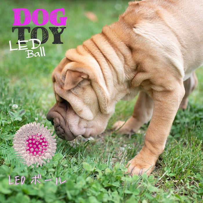 犬おもちゃ PA 6416 LED ボール 光る 点滅 トゲトゲ