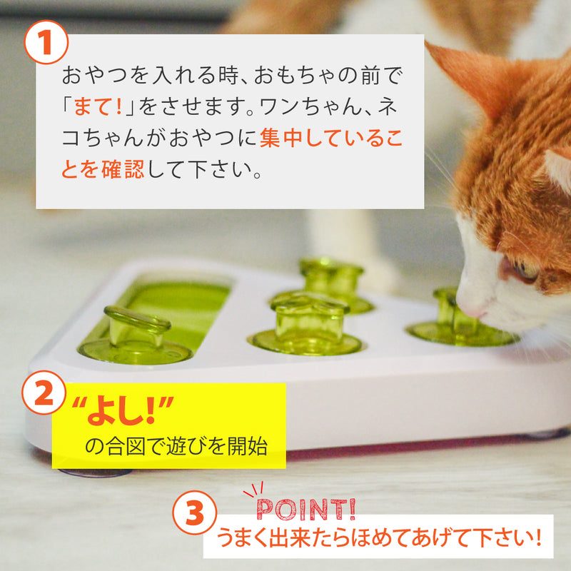 知育トイ TREA トレア おもちゃ 犬 猫