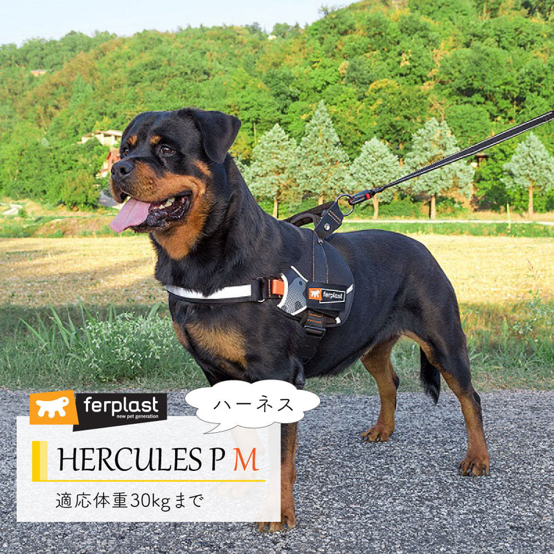 HERCULES P M ハーネス 適応体重30kgまで 介護