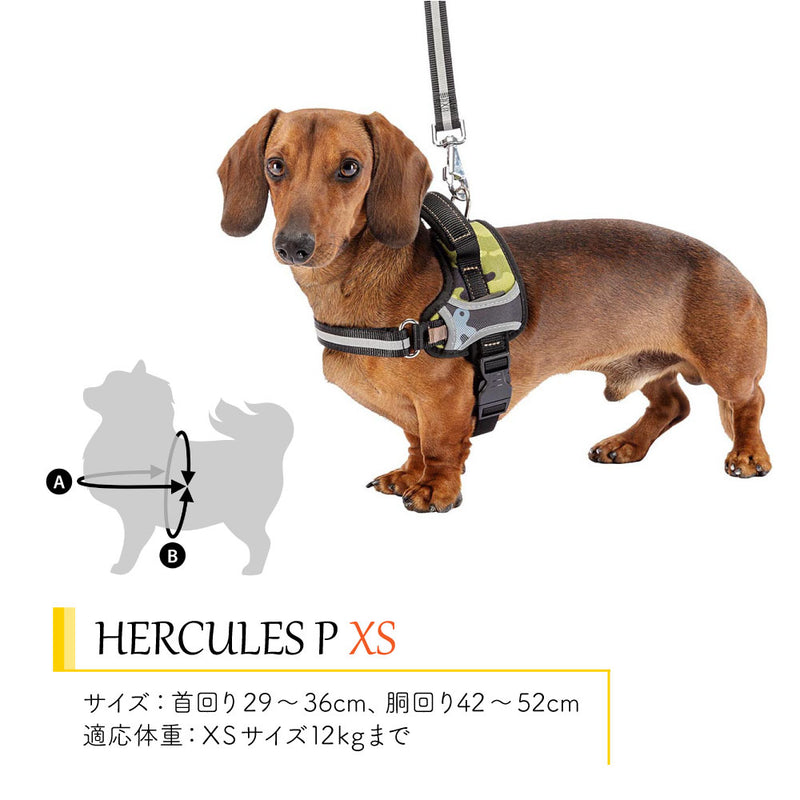 HERCULES P XS ハーネス 適応体重12kgまで 介護