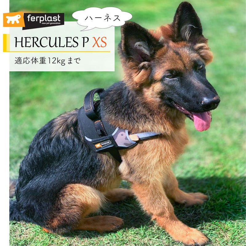 HERCULES P XS ハーネス 適応体重12kgまで 介護