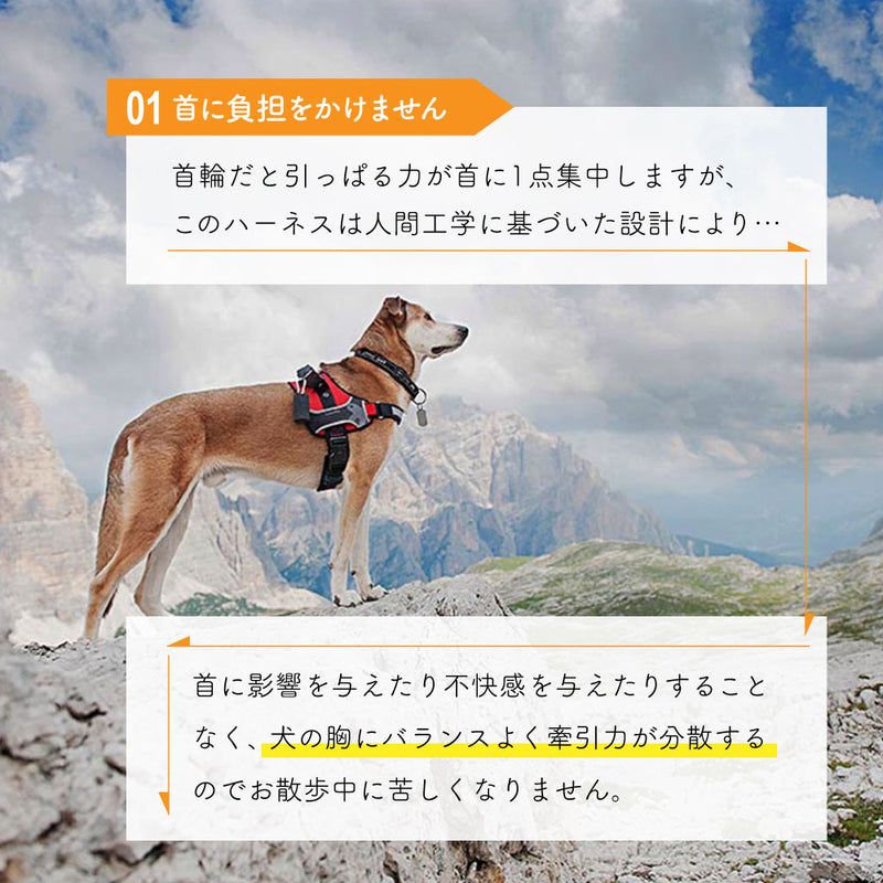HERCULES P XS ハーネス 適応体重12kgまで 介護
