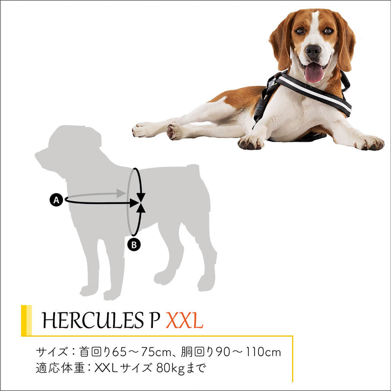 HERCULES P XXL ハーネス 適応体重80kgまで 介護