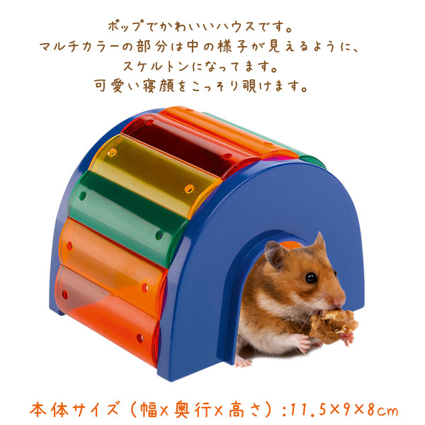 ポップでかわいい ハムスターハウス クシー KUCI PA 4639