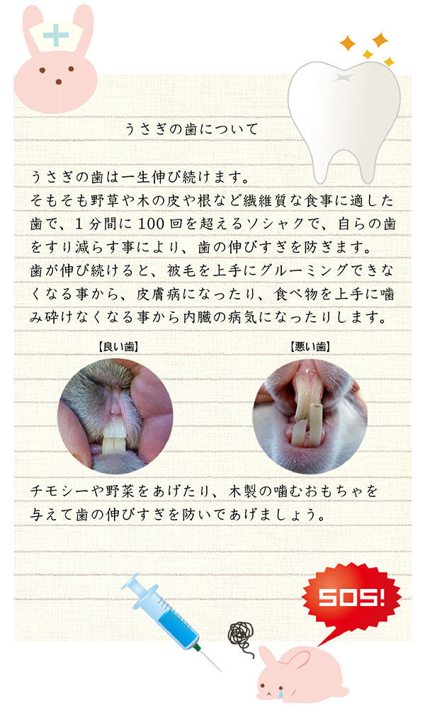うさぎ用おもちゃ　かじり木 PA 4754