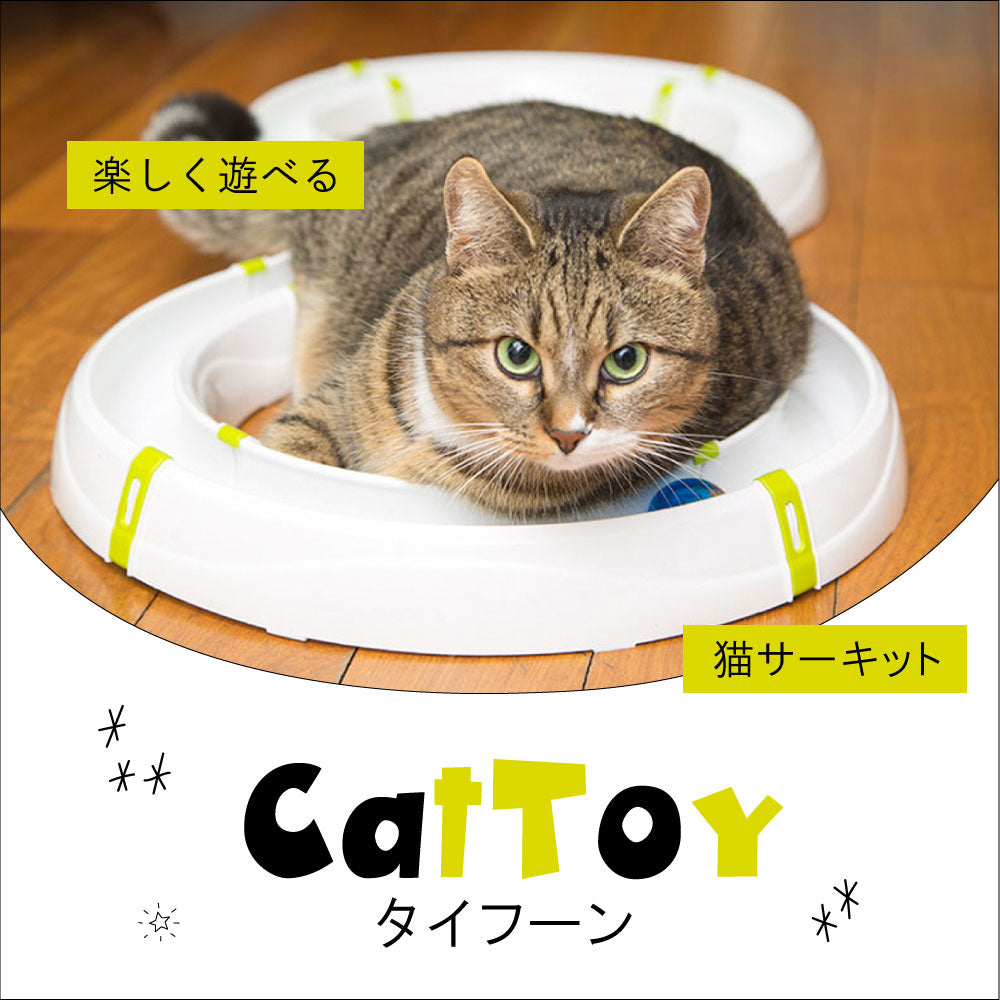 猫おもちゃ タイフーン サーキット ボール – ファンタジーワールド