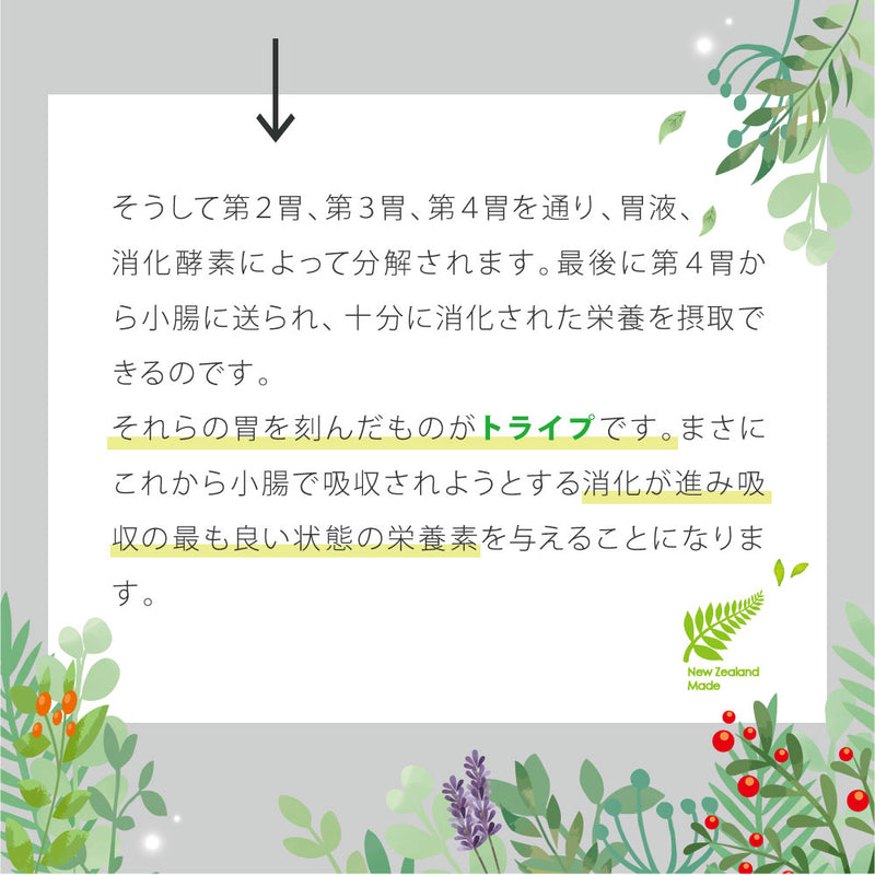 グリーントライプ 185g  ニュートライプピュア 全年齢用