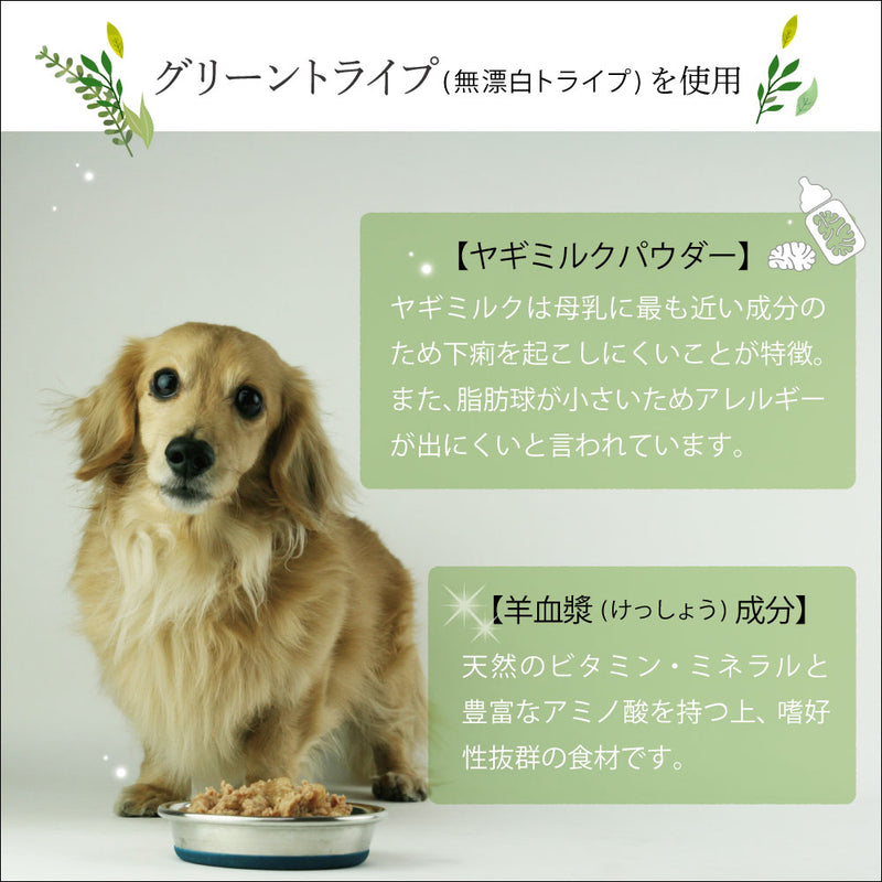 ビーフ＆グリーントライプ 185g 全年齢用 ドッグフード