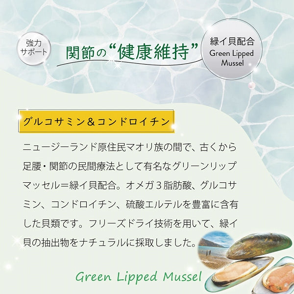 ビーフ＆グリーントライプ 185g 全年齢用 ドッグフード