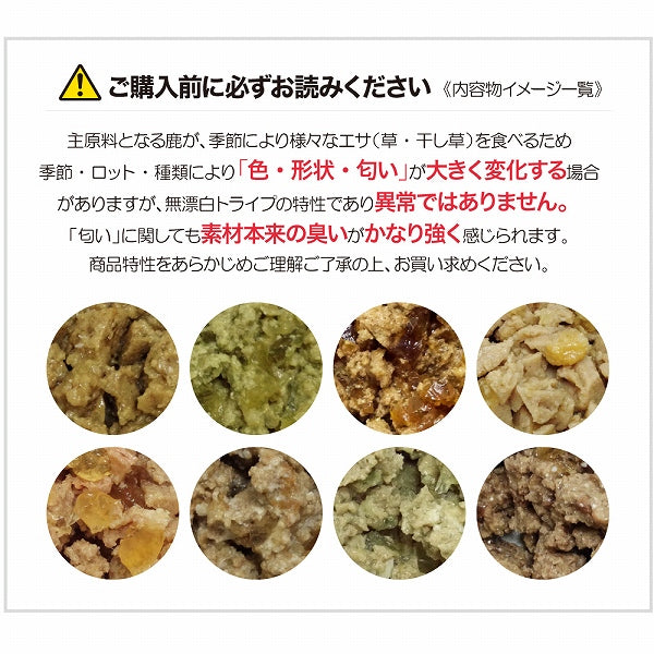 ビーフ＆グリーントライプ 185g 全年齢用 ドッグフード