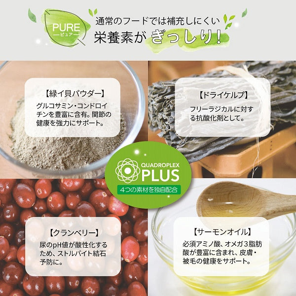 ビーフ＆グリーントライプ 185g 全年齢用 ドッグフード