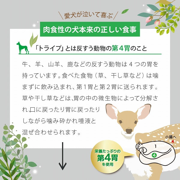 ビーフ＆グリーントライプ 185g 全年齢用 ドッグフード