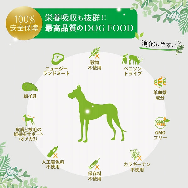 チキン＆グリーントライプ 185g 総合栄養食 穀物不使用 ドッグフード 犬ピュア