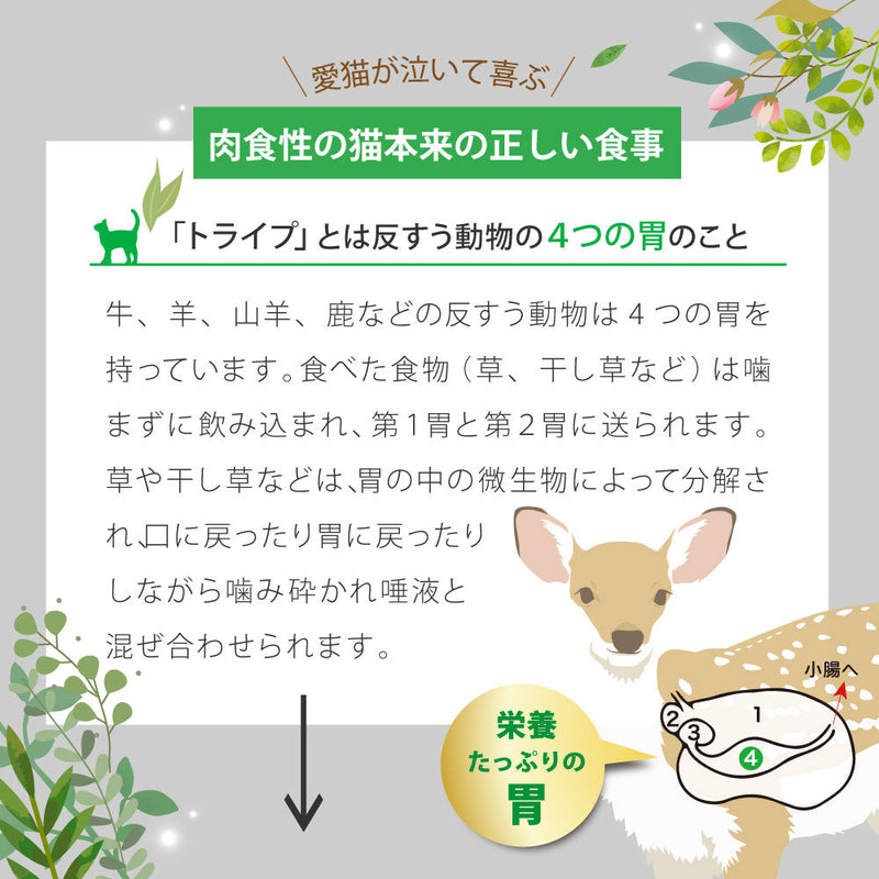 【まとめ買い24缶×95g】グリーントライプ 95g 全年齢用 総合栄養食 キャットフード