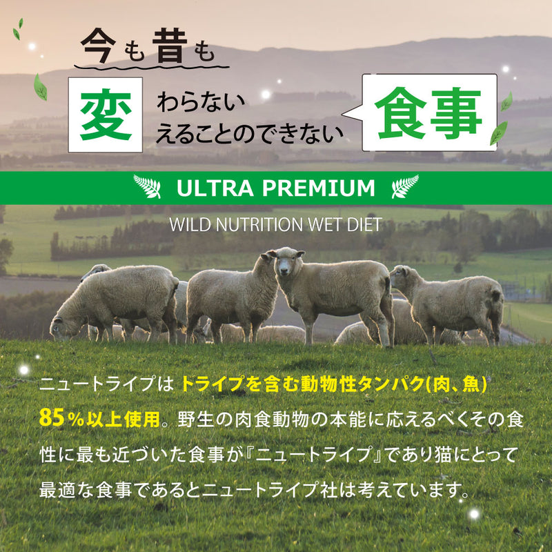 ビーフ＆グリーントライプ 95g 全年齢用 総合栄養食 キャットフード