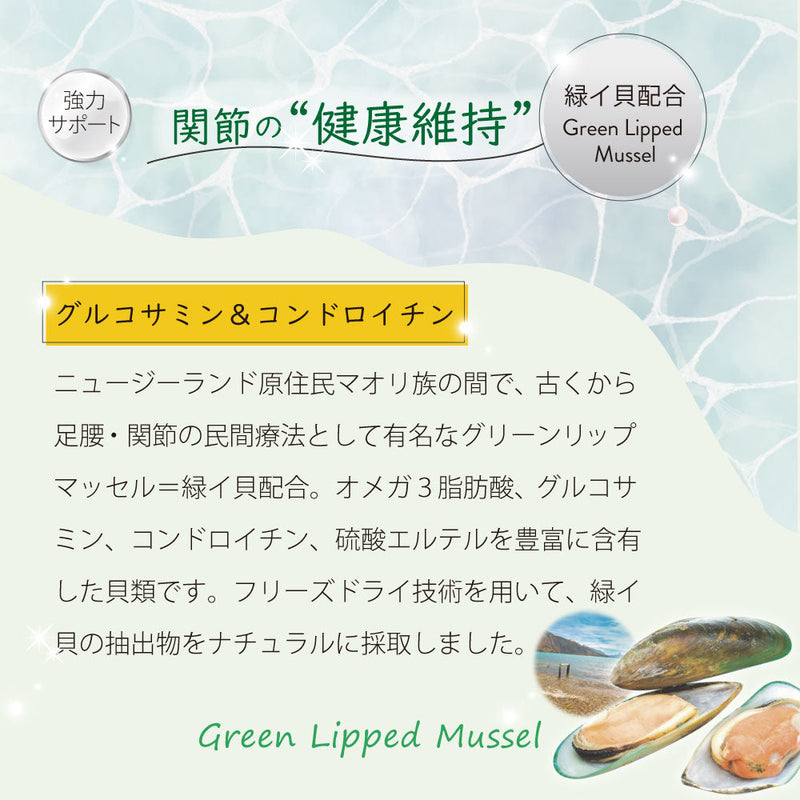 【まとめ買い24缶×95g】ラム＆グリーントライプ 95g 全年齢用 総合栄養食 キャットフード