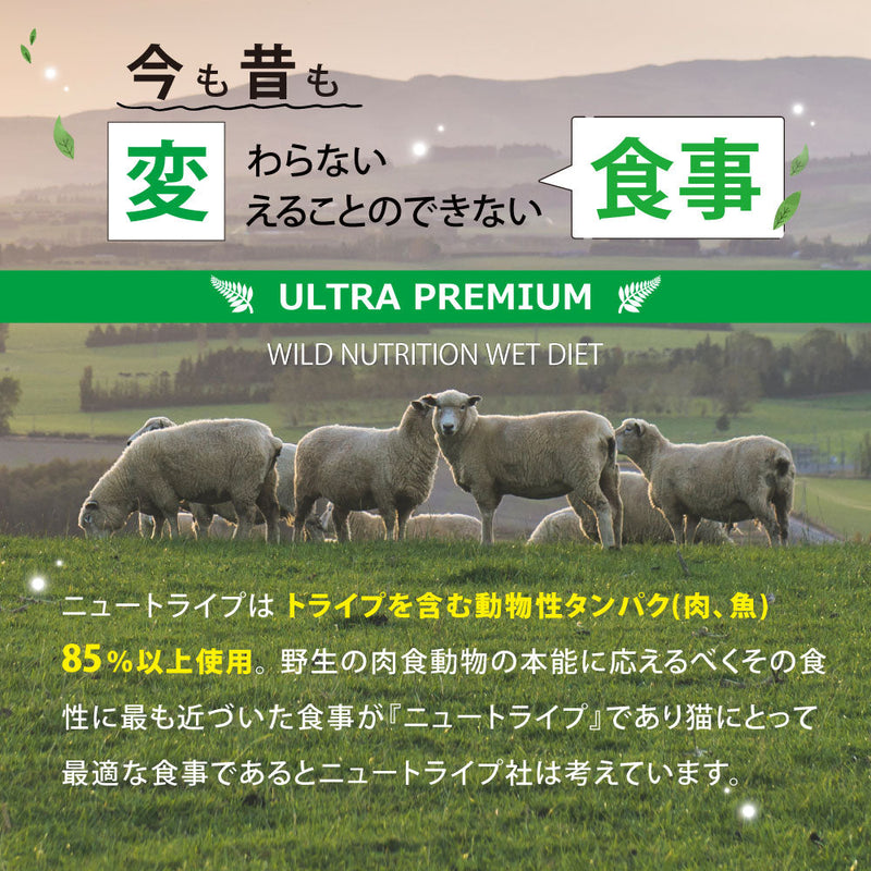 【まとめ買い24缶×95g】チキン＆グリーントライプ 95g 全年齢用 総合栄養食 キャットフード ピュア