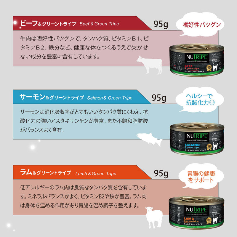 【まとめ買い24缶×95g】サーモン＆グリーントライプ 95g 全年齢用 総合栄養食 キャットフード