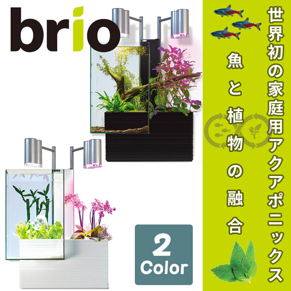 ブリオ brio 水槽 フルセット 東日本50Hz 家庭用 アクアポニックス brio35 植物 魚 送料無料