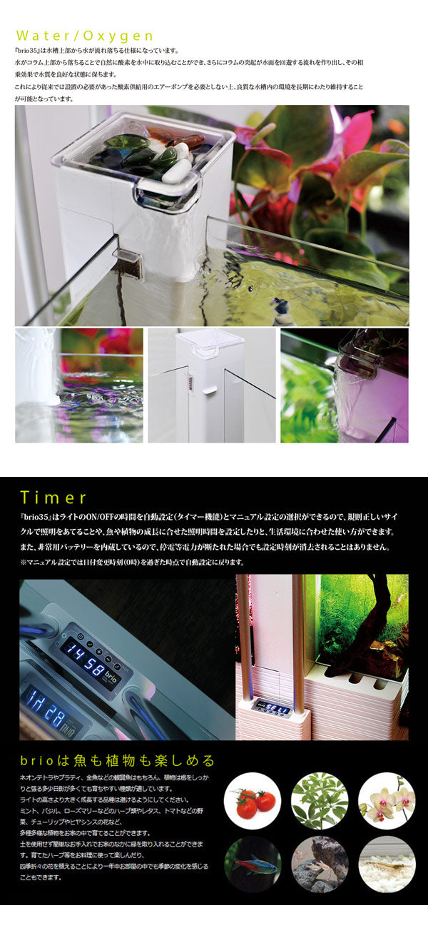 ブリオ brio 水槽 フルセット 西日本60Hz 家庭用 アクアポニックス brio35 植物 魚 送料無料
