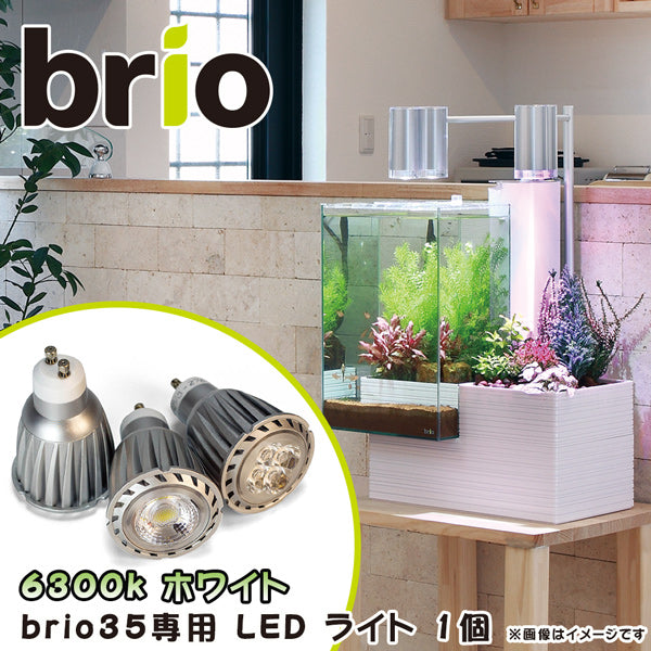ブリオ brio 専用 ＬＥＤ バルブ ライト 電球 6300k ホワイト 水槽 家庭用 アクアポニックス brio35 植物 魚 送料無料
