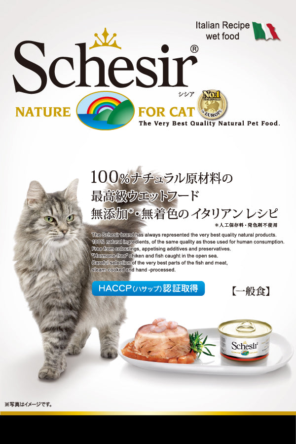 チキンフィレ 85g キャットフード