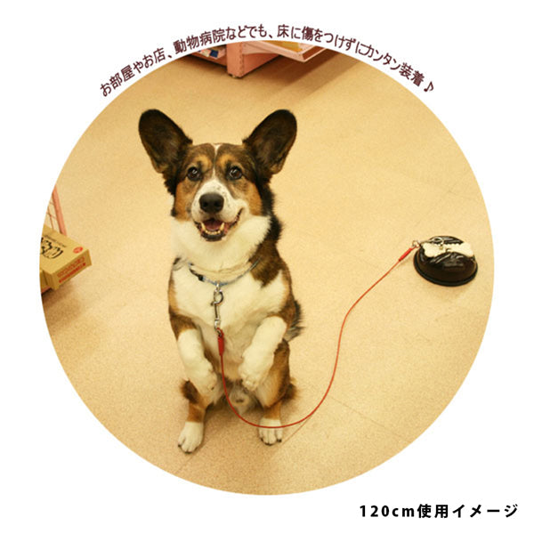 パワー タイ ケーブル 200ｃｍ