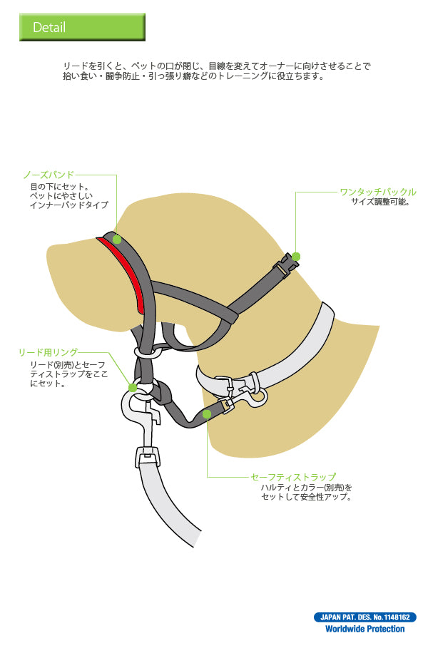 在庫一掃セール　トレーニングリード　ハルティ：４